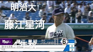 明治大学　藤江星河(諫早ボーイズ-大阪桐蔭)【2024年 東京六大学野球秋季リーグ戦】Honda熊本