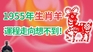 1955年屬羊人，2024年運程走向，你可能想不到！生肖羊必看！  #2024年生肖羊運勢 #2024年生肖羊運程 #2024年屬羊運勢 #屬羊運程