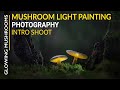 Mushroom Light Painting Photography - intro shoot