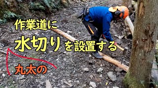 作業道に丸太の水切りを設置する