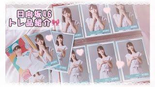 日向坂46❤︎トレ品紹介🧸いただきもの沢山ご紹介☁️【生写真】