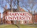 harvard university