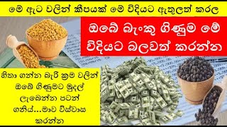 ඔබේ බැංකු ගිණුම මේ විදියට බලවත් කරන්න