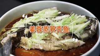 【薑蓉蒸筍殼魚】魚肉這樣做鮮嫩不腥，暖胃又禦寒！| 拜托了煮夫