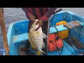 Fishing Catching  90 Meters Of Water # AMAZING FISHERMEN HANDLINE FISHING Indian Ocean