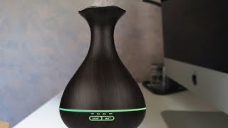 Tenswall Vase Essential Oil Diffuser