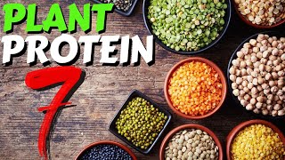 Top 7 Sources of Plant Protein