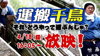 【竹虎】日本唯一の虎竹を竹林から山出し！「運搬千鳥それ、どうやって運ぶんじゃ？」4月18日（日）16時5分～17時20分（東海テレビ・フジテレビ系全国ネット）