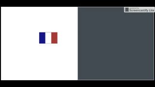 python french flag
