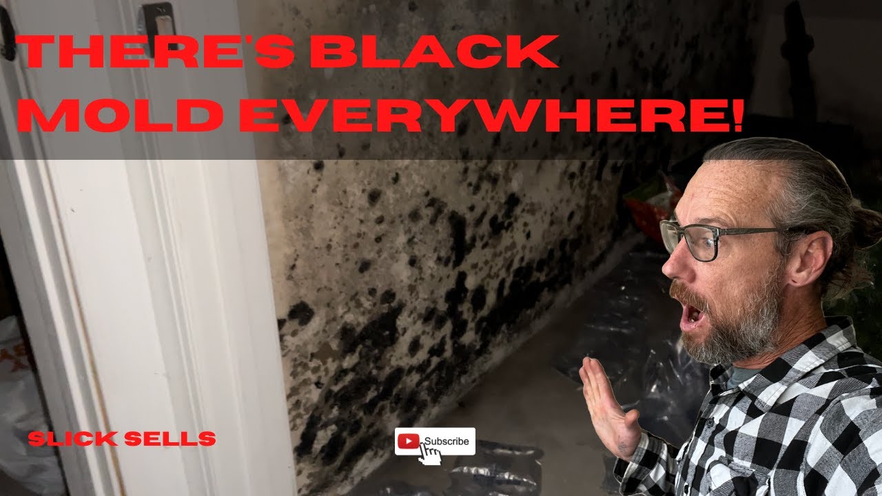 There S Black Mold Everywhere Youtube