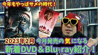 【2023年2月】来月発売の気になる新作DVD＆ブルーレイ紹介！