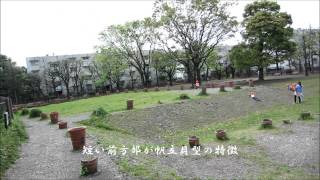 野毛大塚古墳1（中期）（東京）Nogeootsuka Tumulus 1(Tokyo Metropolis)