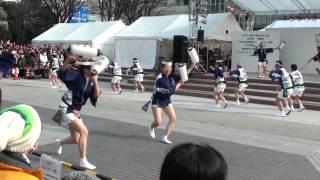 高知市役所踊り子隊　2014　土佐のおきゃく　春の舞