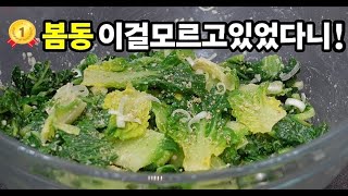 💢모든나물반찬은 ✔이것 하나면 끝❗세상편하고 역대급으로 맛있습니다💯