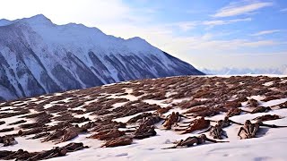 Hikers Were SPEECHLESS When They Discovered THIS High In The Mountains