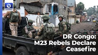 Rebels Declare Ceasefire In DR Congo + More | Network Africa