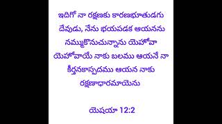 ఇదిగో నా రక్షణకు కారణభూతుడగు దేవుడు,