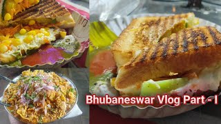 The Bhubaneswar Vlog // Bhubaneswar Buzz //  ଆମ ଭୁବନେଶ୍ୱର ଖାଦ୍ୟ ଆଉ ସ୍ଥାନ  //  BBSR Delicious food