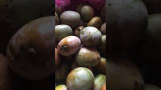 പഴുത്തമാങ്ങാ ഇങ്ങനെ കഴിച്ചിട്ടുണ്ടോ😍🔥#mango#mangoseason #trending #song  #trendingonyoutube #short