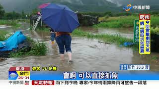 水深小腿肚! 頭社盆地遇暴雨 金針花\