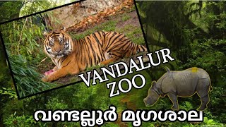 തമിഴ്നാട്ടിലെ ഏറ്റവും വലിയ മൃഗശാല |    Vandalur zoo  | Arignar Anna Zoological Park Part 2