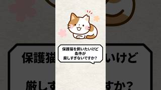 Q：保護猫を飼いたいけど条件が厳しすぎます #猫 #保護猫 #ねこ