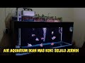 cara membuat air aquarium ikan mas koki selalu jernih