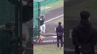 坂本勇人選手　フリーバッティングで快音連発！　巨人春季キャンプ4日目　2023年2月4日　♯shorts　♯巨人キャンプ　♯巨人春季キャンプ　♯巨人　♯プロ野球キャンプ　♯坂本勇人