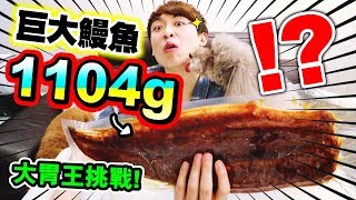 【突破胃腸😱】1KG超巨大鰻魚🧜🏻‍♀️！😱單人挑戰能吃完嗎？（中字）