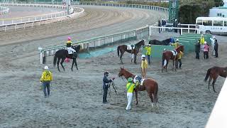 船橋競馬場新スタンドから見るレース後の光景