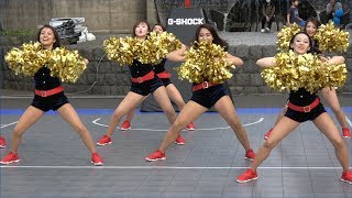 B-ROSE 2017 チアステージ Dance Show