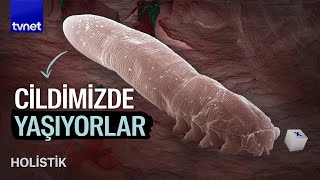 Cildimizde yaşayan bakterilere neden ihtiyacımız var?