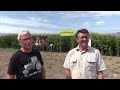 kelowna s largest corn maze opens