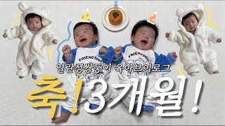 [호호둥이ep.8] 생후3개월 돌파! | 아기들이랑 한강나들이🍁 | 아기비데, 유아청결제 추천! | 겨울나기 준비까지❄️