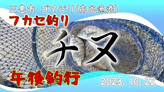 チヌ フカセ釣り 三豊市ゴマジリ(高谷漁港) 2023.10.22