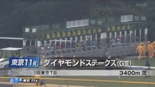 【競馬HD】2016ダイヤモンドステークス(G3)トゥインクル