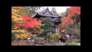 神戸市北区　光明寺の紅葉２０１３