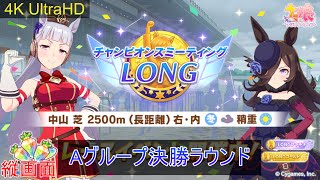 【ウマ娘】【縦4K】#チャンピオンズミーティングLONG　グレードリーグA決勝（縦画面レース）　#チャンミLONG　2024/12　#ウマ娘プリティーダービー