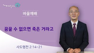 [바울공동체예배] 꿈꿀 수 없으면 죽은 거라고 (사도행전 2:14 - 21)