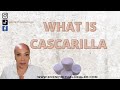 WHAT IS CASCARILLA? AND IT'S USAGE