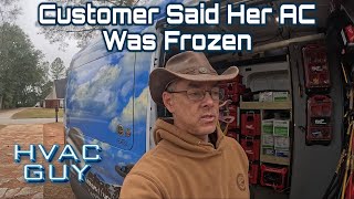 Nothing On This Ladies Air Conditioner Was Working!