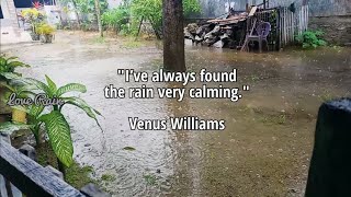 The Rain Is Very Calming | Relaxing Sounds With Heavy Rain On Tin Roof, Eliminate Stress, Sleep Fast