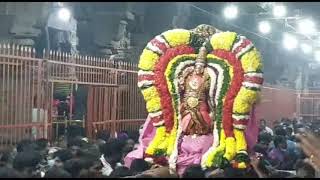 Tiruvannamalai Arunachaleswarar Temple l Thiruvoodal Thiruvizha l Mattu Pongal l 2021