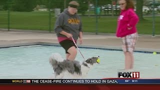 Taking a pooch plunge
