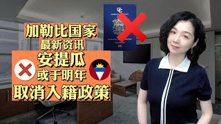 移民｜小国护照热点资讯 这个国家或于明年取消入籍政策#移民 #出国 #小国护照 #加勒比护照 #圣卢西亚护照 #护照 #圣基茨护照 #买英联邦护照