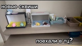 СКВИШИ СОБАЧКИ|Торговый центр