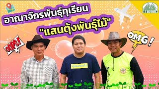 EP.10 การเลือกซื้อพันธุ์ทุเรียนเล็กหมอนทอง (แสนตุ้งพันธุ์ไม้) |ปุ๋ยตราเขาแก้ว (Official)