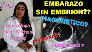 Dieta en el embarazo ginecologa diana alvarez Dieta en el embarazo ginecologa diana alvarez