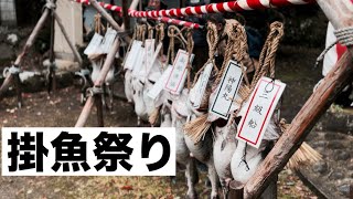 【奉納してみた】5年ぶりに復活した秋田の奇祭「鱈祭り」(掛魚祭り)