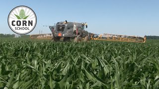 Corn School: Nitrogen knowledge nuggets for the year ahead